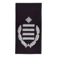 Dienstgradschlaufen Berufsfeuerwehr