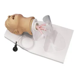 Intubationstrainer Erwachsener